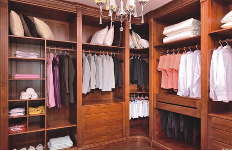 原木衣柜与实木衣柜不一样 丰成帝纳教你区别实木衣柜